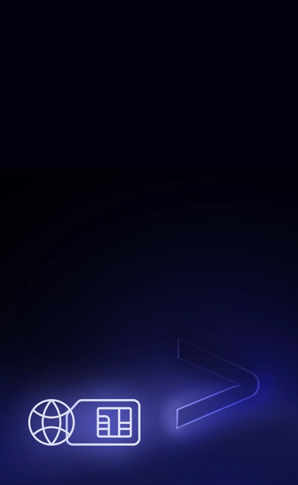 Pictogramă care reprezintă internetul gratuit în întreaga lume, o caracteristică a dispozitivelor Vasco.